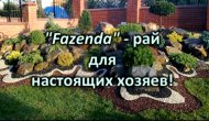 «Fazenda» - рай для настоящих хозяев! Магазин в г. Алматы товаров для ремонта дома, а также обустройства, озеленения и ухода за ландшафтом.