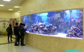 Рифовый аквариум на территории ТРЦ 'АЛМАЛЫ'