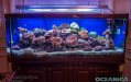 Выполненные индивидуальные аквариумы на нашем сайте www.oceanica.kz