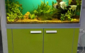 Мебель для аквариумов на нашем сайте www.oceanica.kz, 