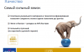 Виниловое покрытие +7 707 584 5287