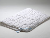 Благодаря природному компоненту «bamboo kun» одеяло обладает дезодорирующими и бактерицидными свойствами, препятствует образованию и проникновению бактерий и запахов; гипоаллергенное изделие; регуляция теплообмена; препятствует появлению пылевого клеща.  Одеяло  Россия  11640  от 5000 до 15000 тенге  шт.  бамбук  Постельные принадлежности. Постельное белье. Домашний текстиль. Одеяла, подушки. Flax Textiles Алматы ТОО