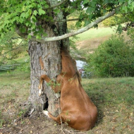 Не вписался в поворот) 