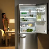СУПЕР ремонт холодильников ведущих мировых брендов: BOSCH, AEG, MIELE, ARISTON, INDESIT, ZANUSSI и т.д.