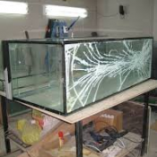 есть  услуга  качественный ремонт аквариумов  ремонт аквариумов  Интернет-магазины зоомагазин ЗВЕРИНЕЦ ИП