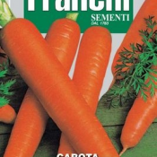 Семена моркови  Семена \