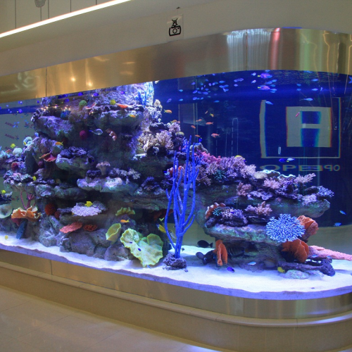 аквариум на заказ ташкент