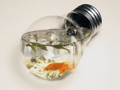 Лампочка-аквариум