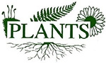 ИП, Ландшафтно oзеленительная компания PLANTS, 1 Строительный портал, все для ремонта и строительства.