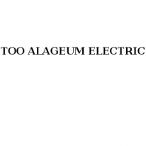 ТОО, ALAGEUM ELECTRIC, 1 Строительный портал, все для ремонта и строительства.