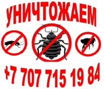 ИП, Клоп Стоп Актау, 1 Строительный портал, все для ремонта и строительства. ИП, Клоп Стоп Актау, 1 Строительный портал, все для ремонта и строительства.