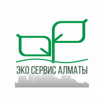 Тоо сервис